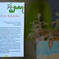 Aventuri din lumea copiilor de ciocolată